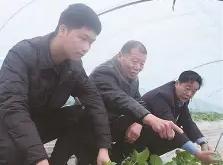 乌法慕申老古重机会，主掘球长势发家队基心