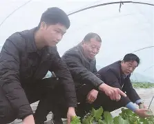 乌法慕申老古重机会，主掘球长势发家队基心